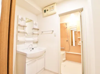 ロイヤルパレス桶川 107