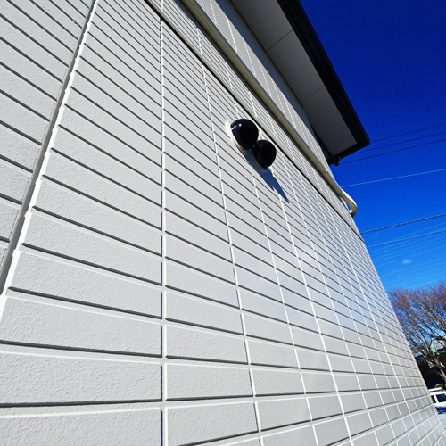 プチ アネックス