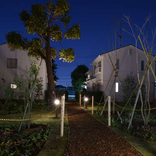 ウッディヒルズ